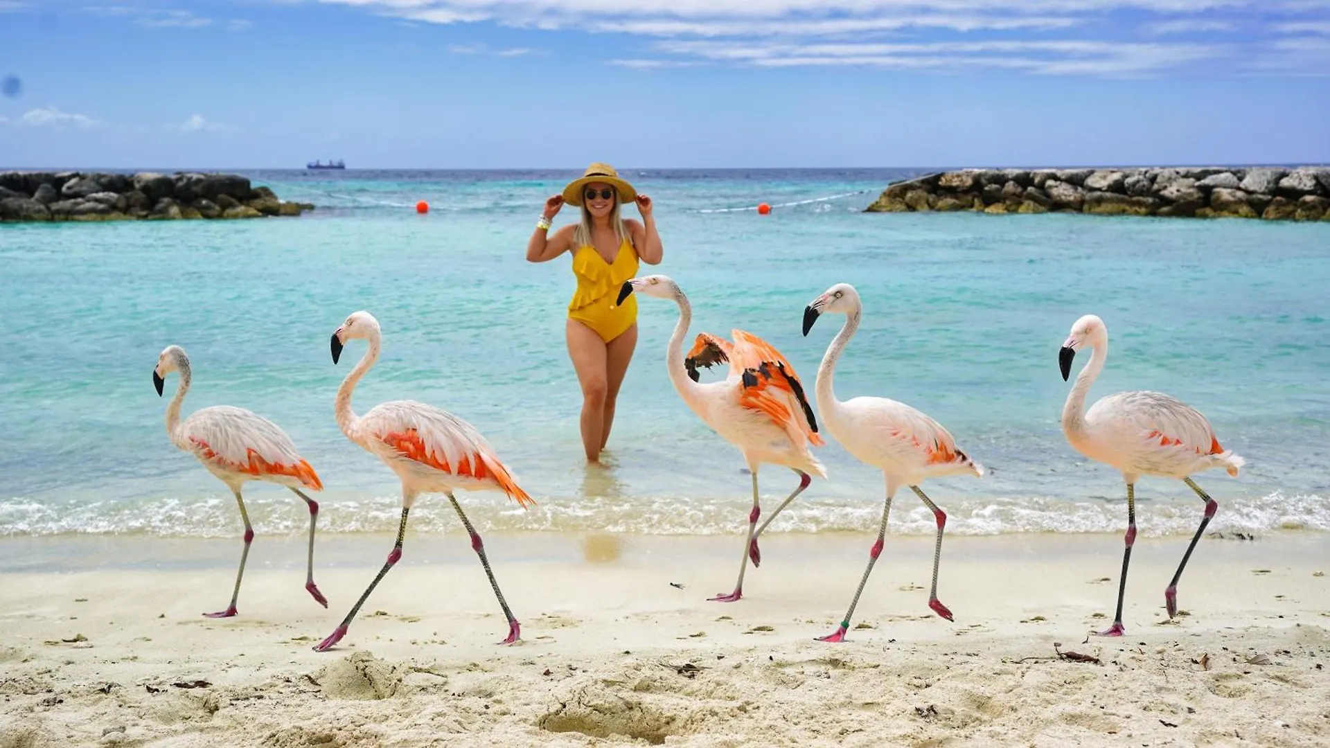 Wariruri 313 - Rooi Santo 31 Lägenhet Palm Beach